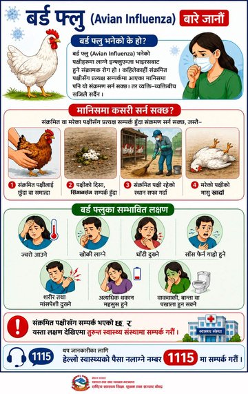 Bird flu info_what it is