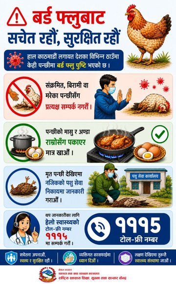 Bird flu prevention measures