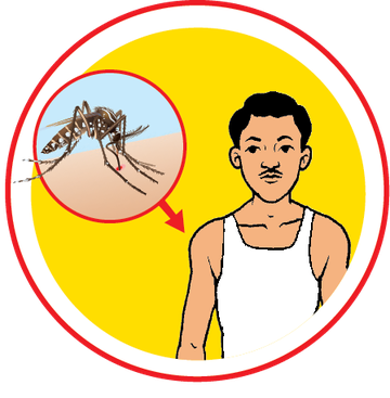 Dengue_flyer_1-How_to_protect-final-02.width-360