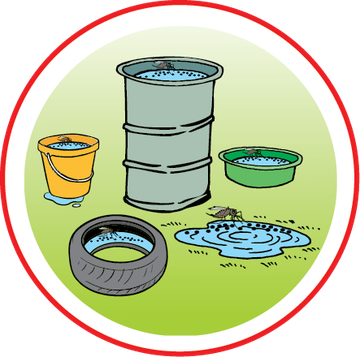 Dengue_flyer_1-How_to_protect-final-05.width-360