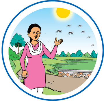 Dengue_flyer_1-How_to_protect-final-07.width-360