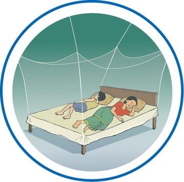 Dengue_flyer_1-How_to_protect-final-09.width-360